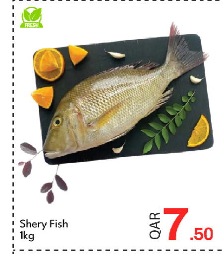 available at جي-ماكس هايبرماركت in قطر - الدوحة