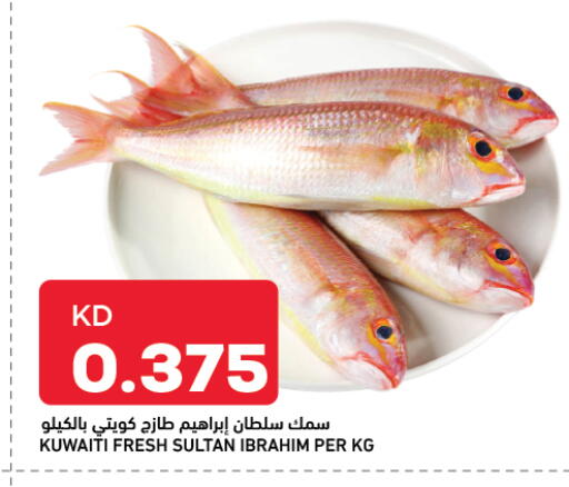 available at أونكوست in الكويت - محافظة الجهراء