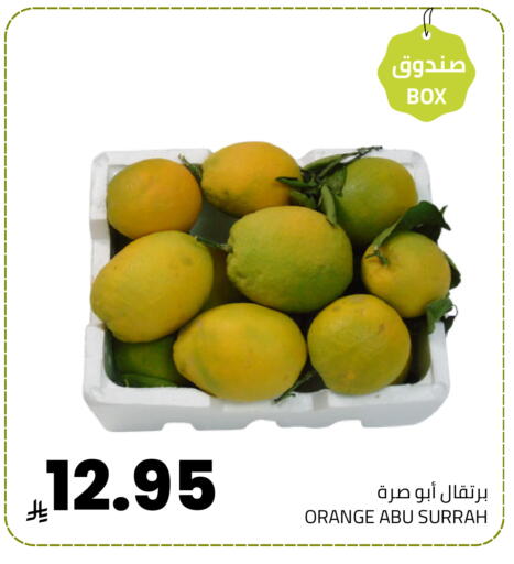 Orange available at Astra Markets in KSA, Saudi Arabia, Saudi - Tabuk