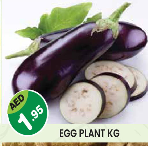 available at سنابل بني ياس in الإمارات العربية المتحدة , الامارات - أبو ظبي