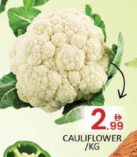 Mango Cauliflower available at Mango Hypermarket LLC in UAE - Dubai