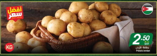 Potato from Jordan available at ســبــار in قطر - الريان