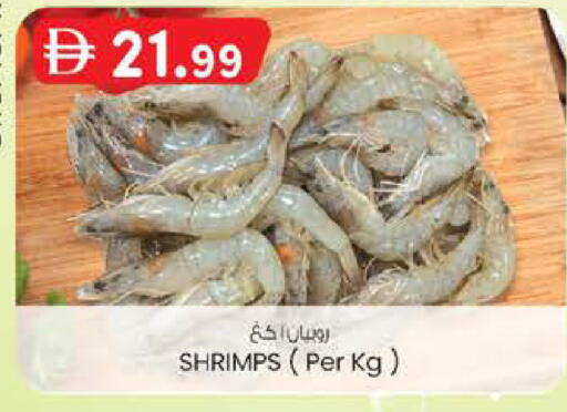 available at صفا هايبر in الإمارات العربية المتحدة , الامارات - أبو ظبي