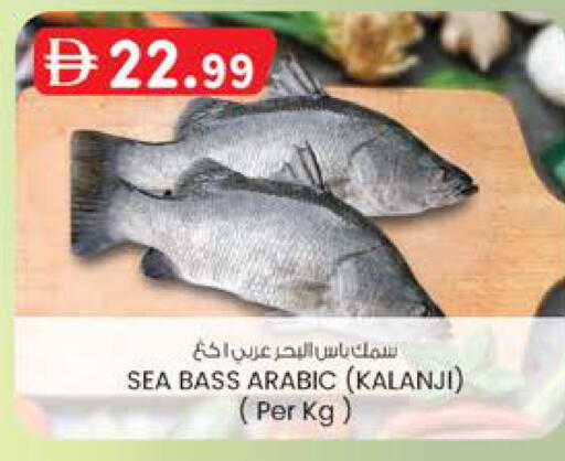 available at صفا اكسبريس سوبرماركت in الإمارات العربية المتحدة , الامارات - ٱلْعَيْن‎