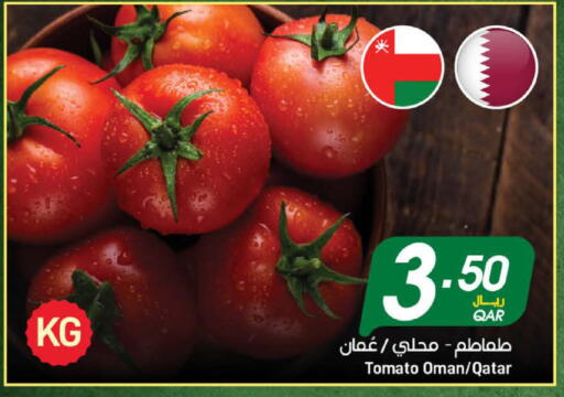 Tomato from Oman Qatar available at ســبــار in قطر - الريان