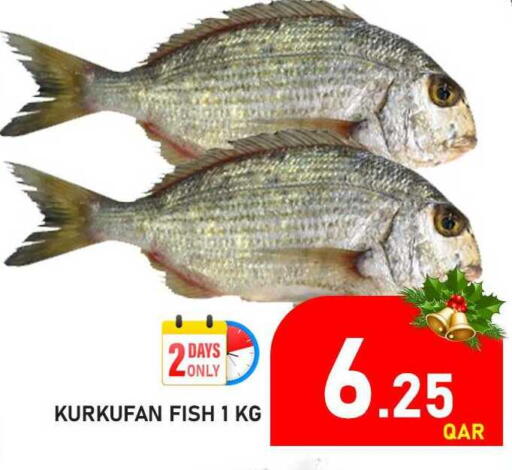 available at باشن هايبر ماركت in قطر - الريان