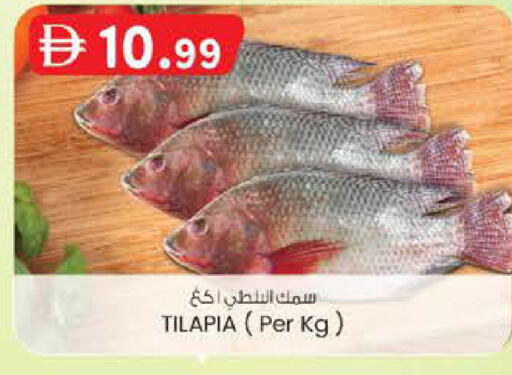 available at صفا هايبر in الإمارات العربية المتحدة , الامارات - أبو ظبي