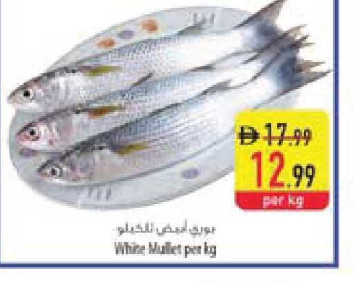 available at السفير ماركت in الإمارات العربية المتحدة , الامارات - ٱلْعَيْن‎