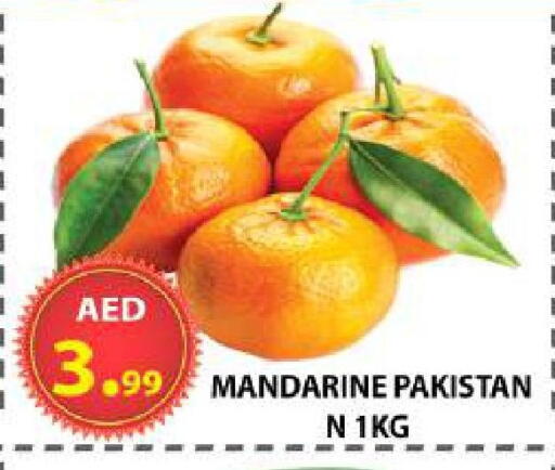 from Pakistan available at مركز الوحدة للتخفيضات in الإمارات العربية المتحدة , الامارات - الشارقة / عجمان