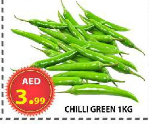 Chilli available at مركز الوحدة للتخفيضات in الإمارات العربية المتحدة , الامارات - الشارقة / عجمان