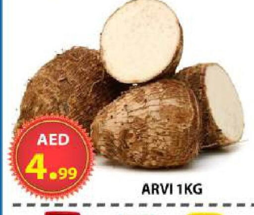 available at مركز الوحدة للتخفيضات in الإمارات العربية المتحدة , الامارات - الشارقة / عجمان