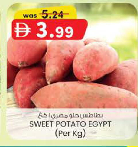 Sweet Potato from Egypt available at ك. الم. للتجارة in الإمارات العربية المتحدة , الامارات - أبو ظبي