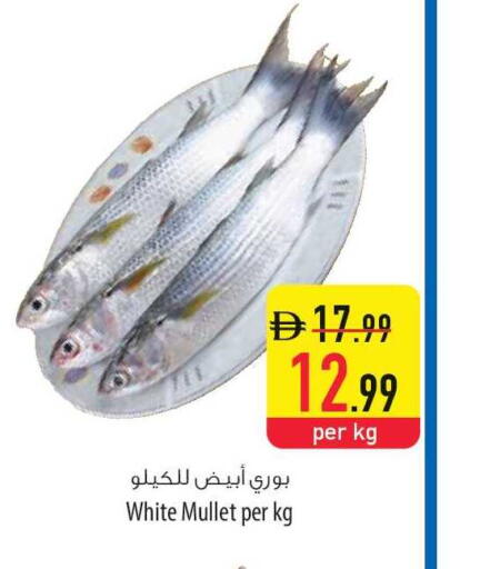 available at السفير ماركت in الإمارات العربية المتحدة , الامارات - الشارقة / عجمان