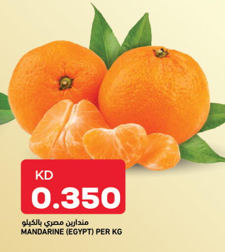 from Egypt available at Oncost in Kuwait - Ahmadi Governorate