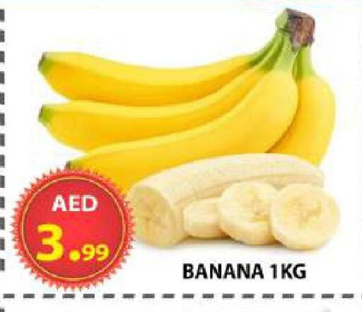 Banana available at مركز الوحدة للتخفيضات in الإمارات العربية المتحدة , الامارات - الشارقة / عجمان