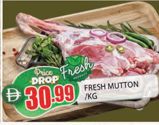 available at المدينة in الإمارات العربية المتحدة , الامارات - الشارقة / عجمان