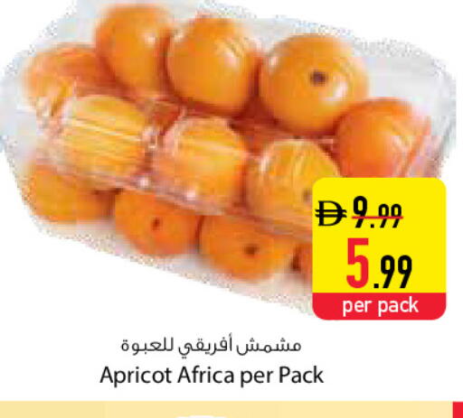Apricot available at السفير ماركت in الإمارات العربية المتحدة , الامارات - دبي