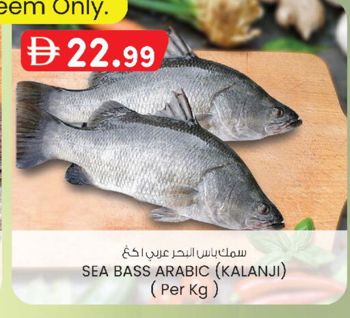 available at صفا اكسبريس سوبرماركت in الإمارات العربية المتحدة , الامارات - أبو ظبي