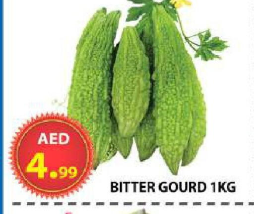 available at مركز الوحدة للتخفيضات in الإمارات العربية المتحدة , الامارات - الشارقة / عجمان