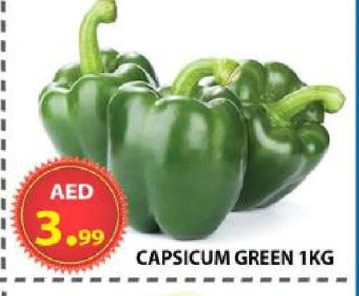 Capsicum available at مركز الوحدة للتخفيضات in الإمارات العربية المتحدة , الامارات - الشارقة / عجمان