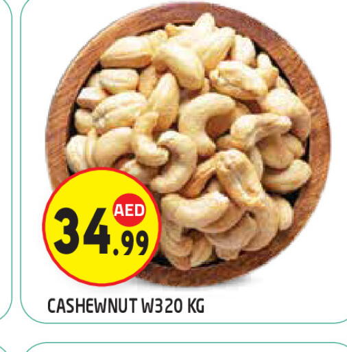 available at سنابل بني ياس in الإمارات العربية المتحدة , الامارات - ٱلْعَيْن‎