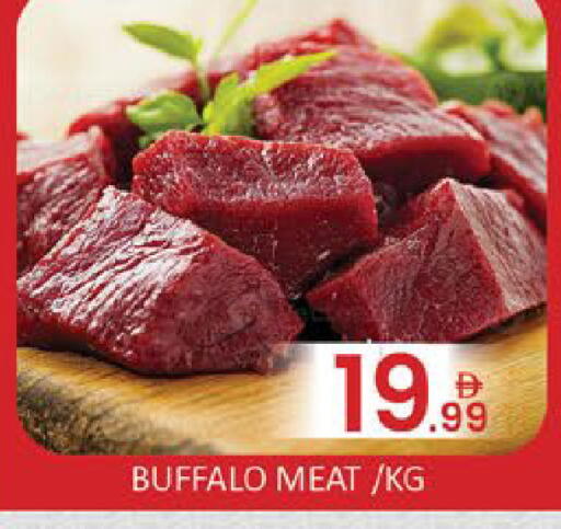 Mango available at Mango Hypermarket LLC in UAE - Dubai