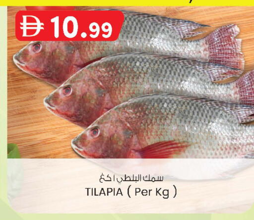 available at صفا اكسبريس سوبرماركت in الإمارات العربية المتحدة , الامارات - أبو ظبي