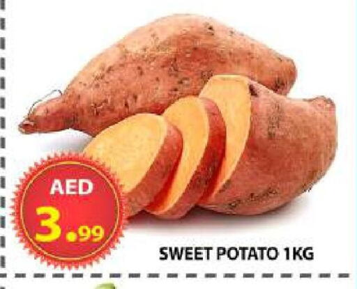 Sweet Potato available at مركز الوحدة للتخفيضات in الإمارات العربية المتحدة , الامارات - الشارقة / عجمان