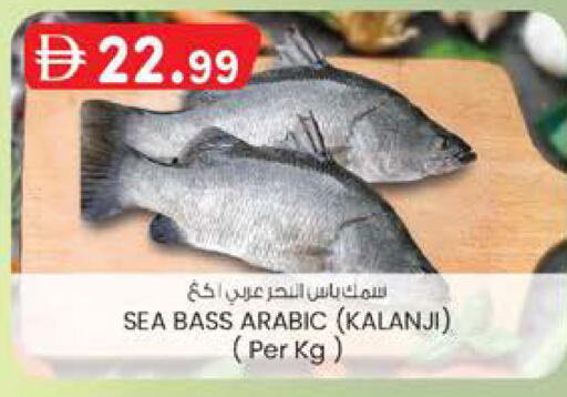 available at K M Trading  in UAE - Sharjah / Ajman