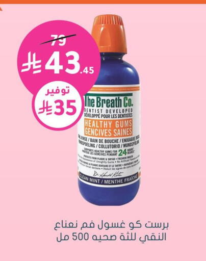 Mint available at  النهدي in مملكة العربية السعودية, السعودية, سعودية - بيشة