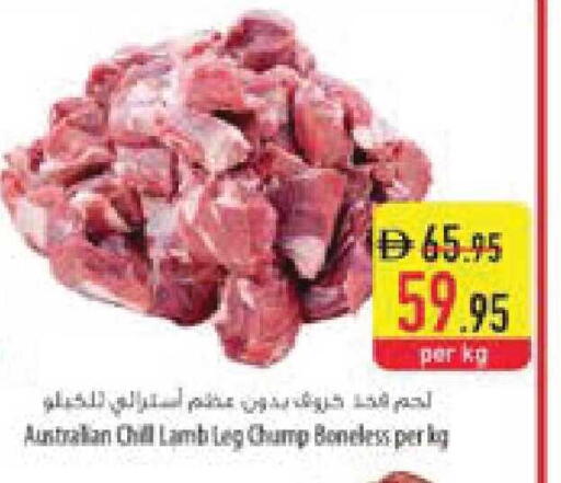 available at السفير ماركت in الإمارات العربية المتحدة , الامارات - ٱلْفُجَيْرَة‎