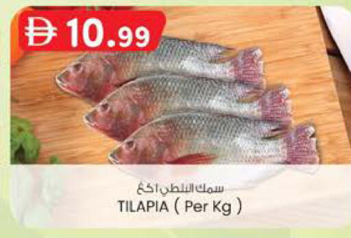 available at ك. الم. للتجارة in الإمارات العربية المتحدة , الامارات - دبي