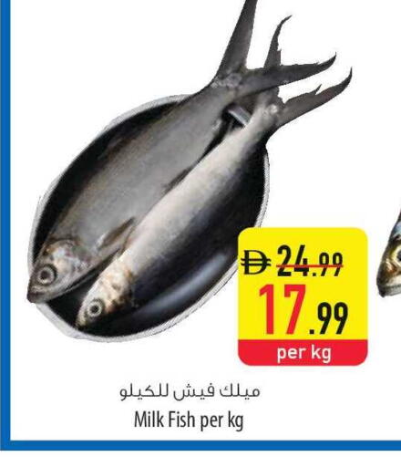 available at Safeer Market in UAE - Sharjah / Ajman