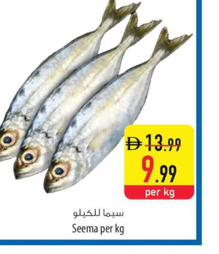 available at Safeer Market in UAE - Sharjah / Ajman