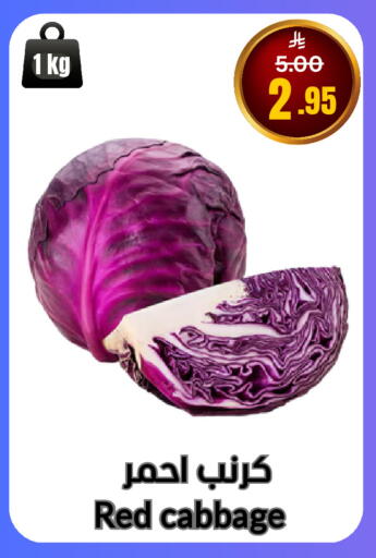 Cabbage available at أسواق سورة جدة in مملكة العربية السعودية, السعودية, سعودية - جدة