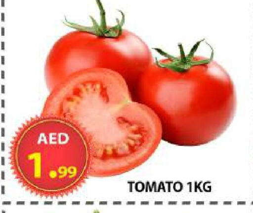 Tomato available at مركز الوحدة للتخفيضات in الإمارات العربية المتحدة , الامارات - الشارقة / عجمان