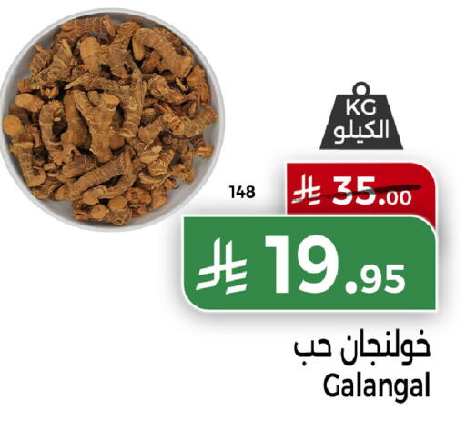 Galangal available at Home Market in KSA, Saudi Arabia, Saudi - Mecca
