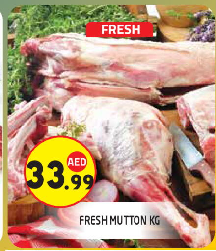 available at سنابل بني ياس in الإمارات العربية المتحدة , الامارات - ٱلْعَيْن‎