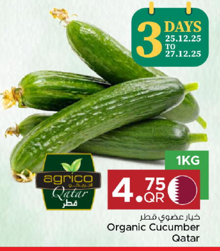 Cucumber from Qatar available at مركز التموين العائلي in قطر - الدوحة