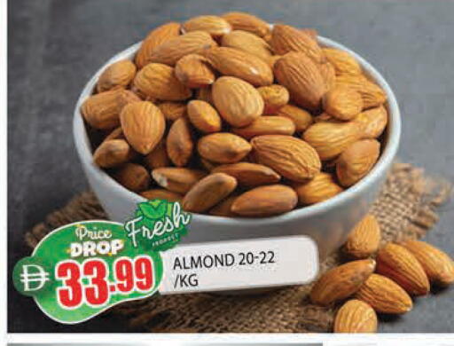 available at المدينة in الإمارات العربية المتحدة , الامارات - الشارقة / عجمان