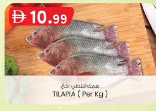 available at ك. الم. للتجارة in الإمارات العربية المتحدة , الامارات - الشارقة / عجمان