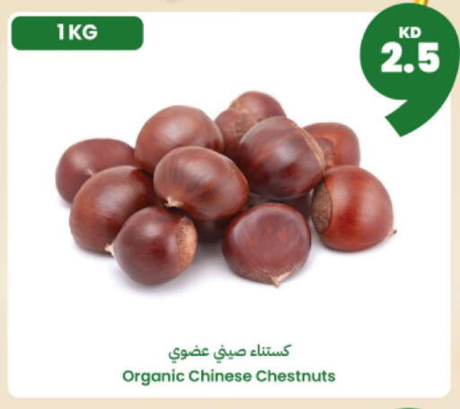 from China available at Taw9eel.com in Kuwait - Ahmadi Governorate