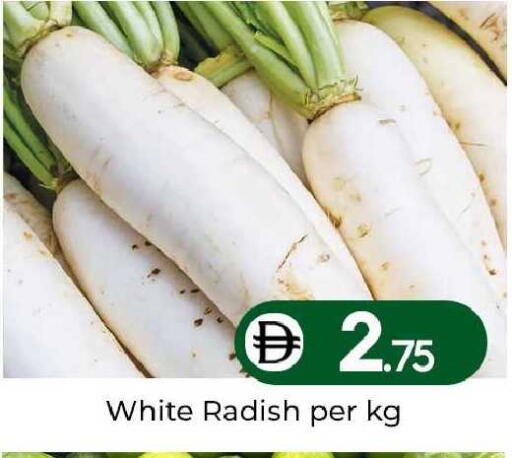 Radish available at مبارك هايبرماركت الشارقة in الإمارات العربية المتحدة , الامارات - الشارقة / عجمان