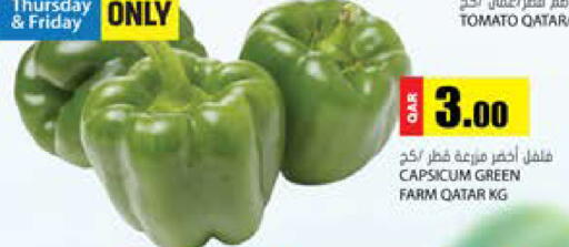 Tomato Capsicum from Qatar available at جراند هايبرماركت in قطر - الريان