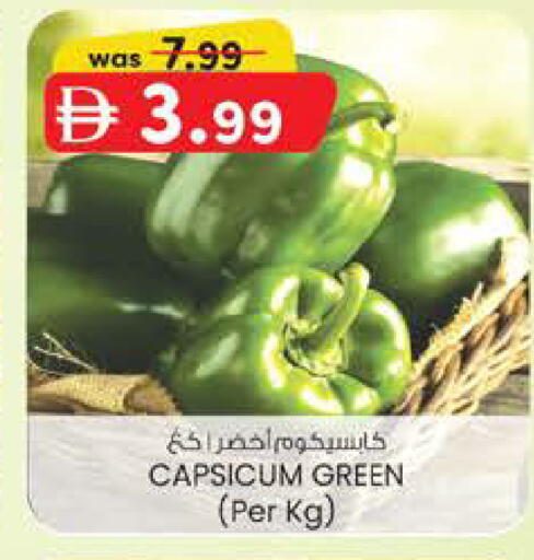 Capsicum available at ك. الم. للتجارة in الإمارات العربية المتحدة , الامارات - أبو ظبي