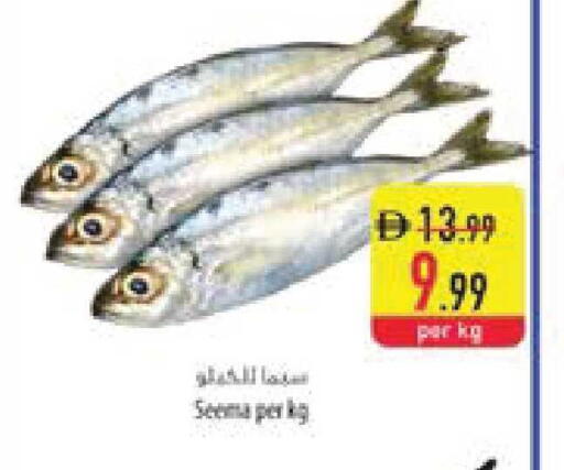 available at السفير ماركت in الإمارات العربية المتحدة , الامارات - ٱلْعَيْن‎