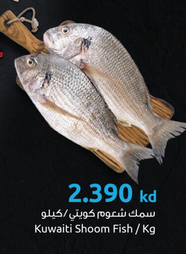 available at مركز سلطان in الكويت - محافظة الأحمدي