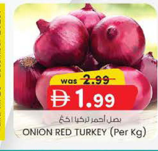 Onion from Turkey available at K M Trading  in UAE - Fujairah