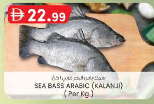 available at ك. الم. للتجارة in الإمارات العربية المتحدة , الامارات - دبي