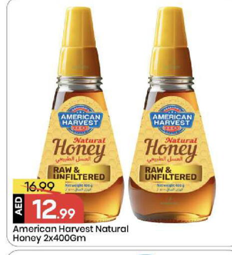 available at مارك & سيف in الإمارات العربية المتحدة , الامارات - أبو ظبي